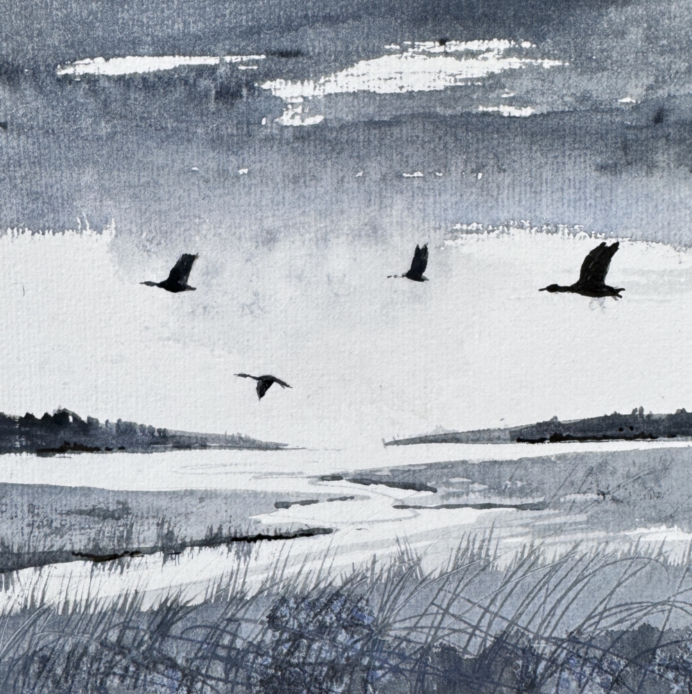 Monochrome - Brooding Marsh skies, Geese flying over framed