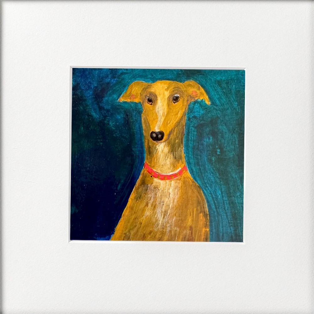 Light Greyhound on green