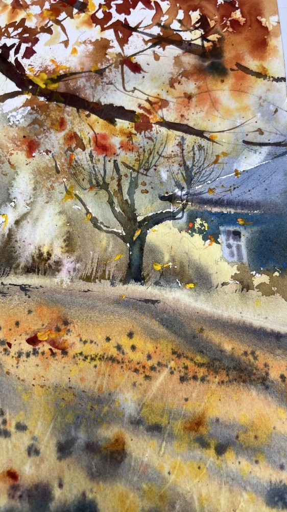 The golden light of autumn