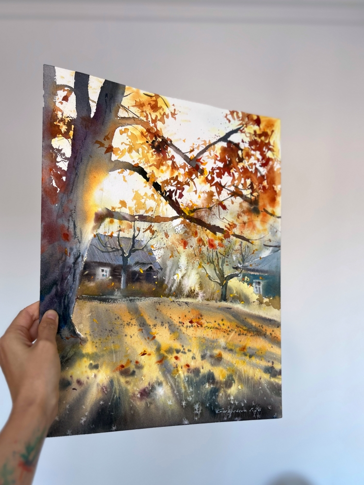 The golden light of autumn