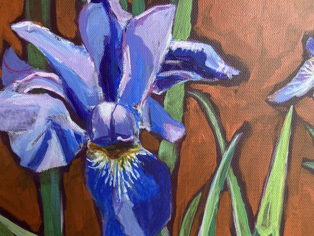 Irises