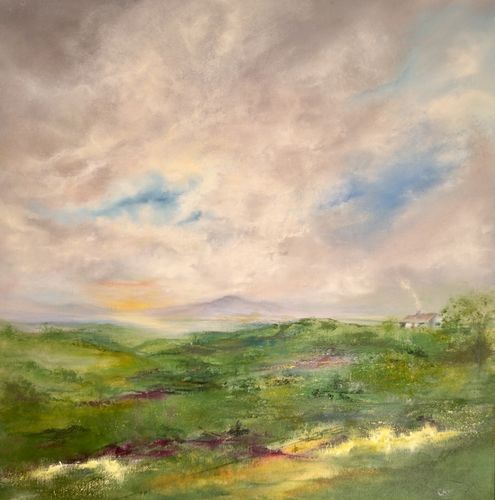 Wild Connemara
