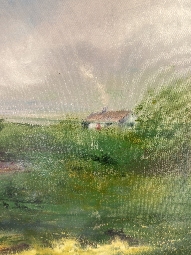 Wild Connemara