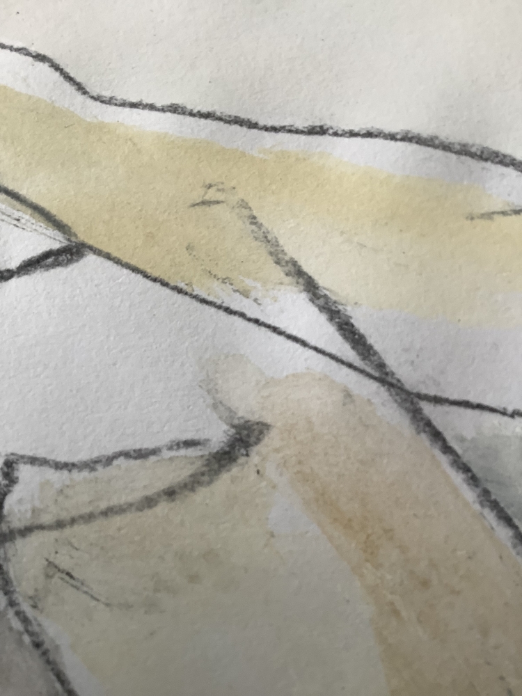 Life Drawing - 3