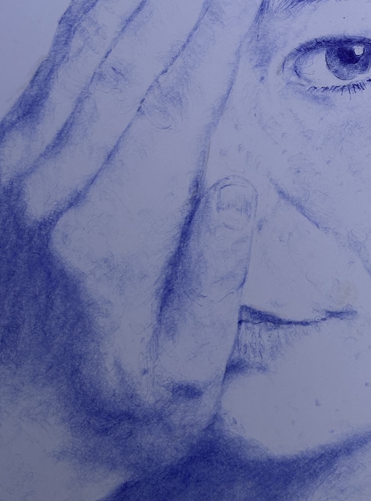 Bjork Blue Bicture 