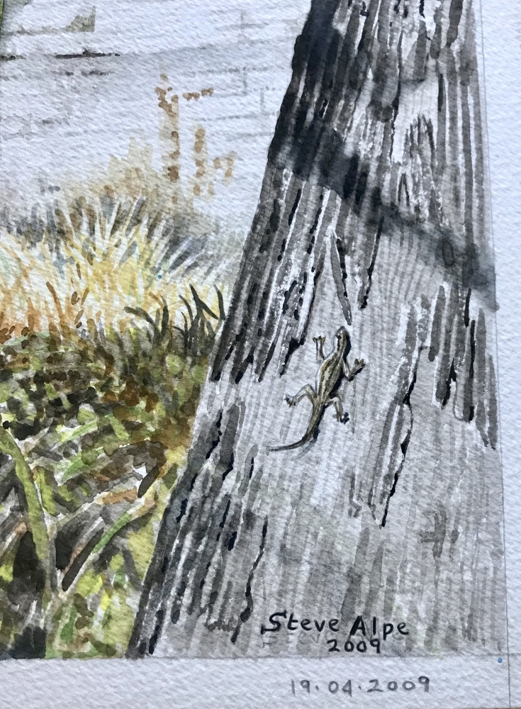 GECKO AFTERNOON