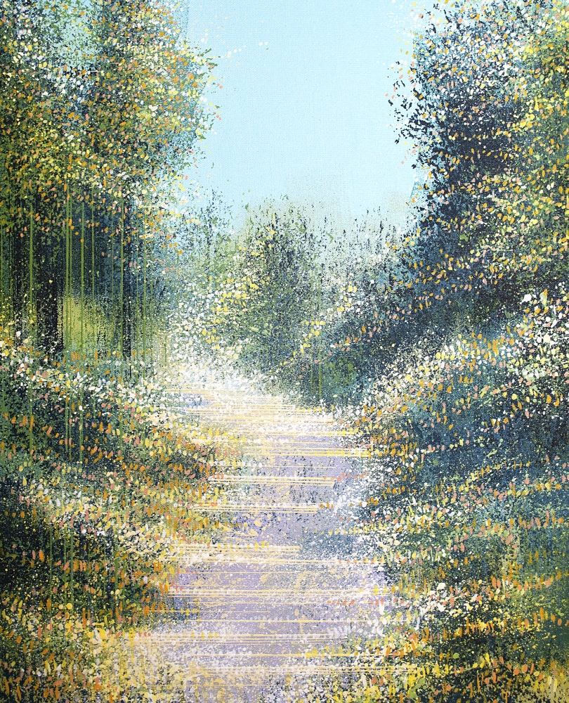 Late Summer Forest Trees