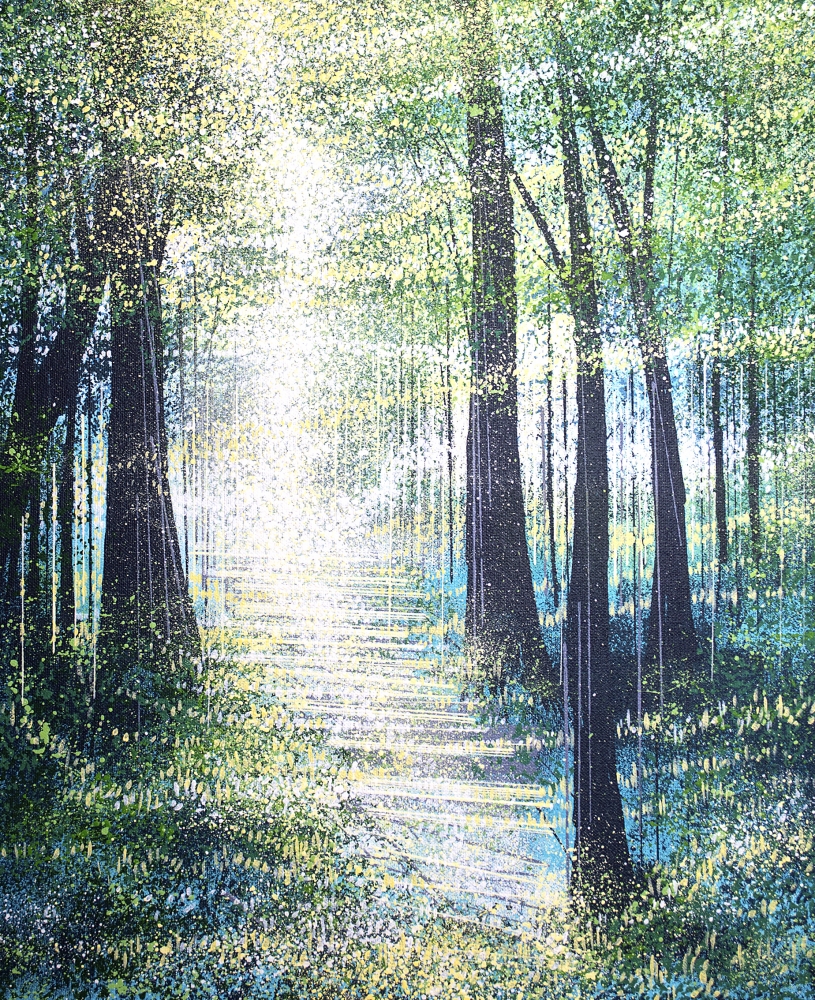 Light Through Summer Trees