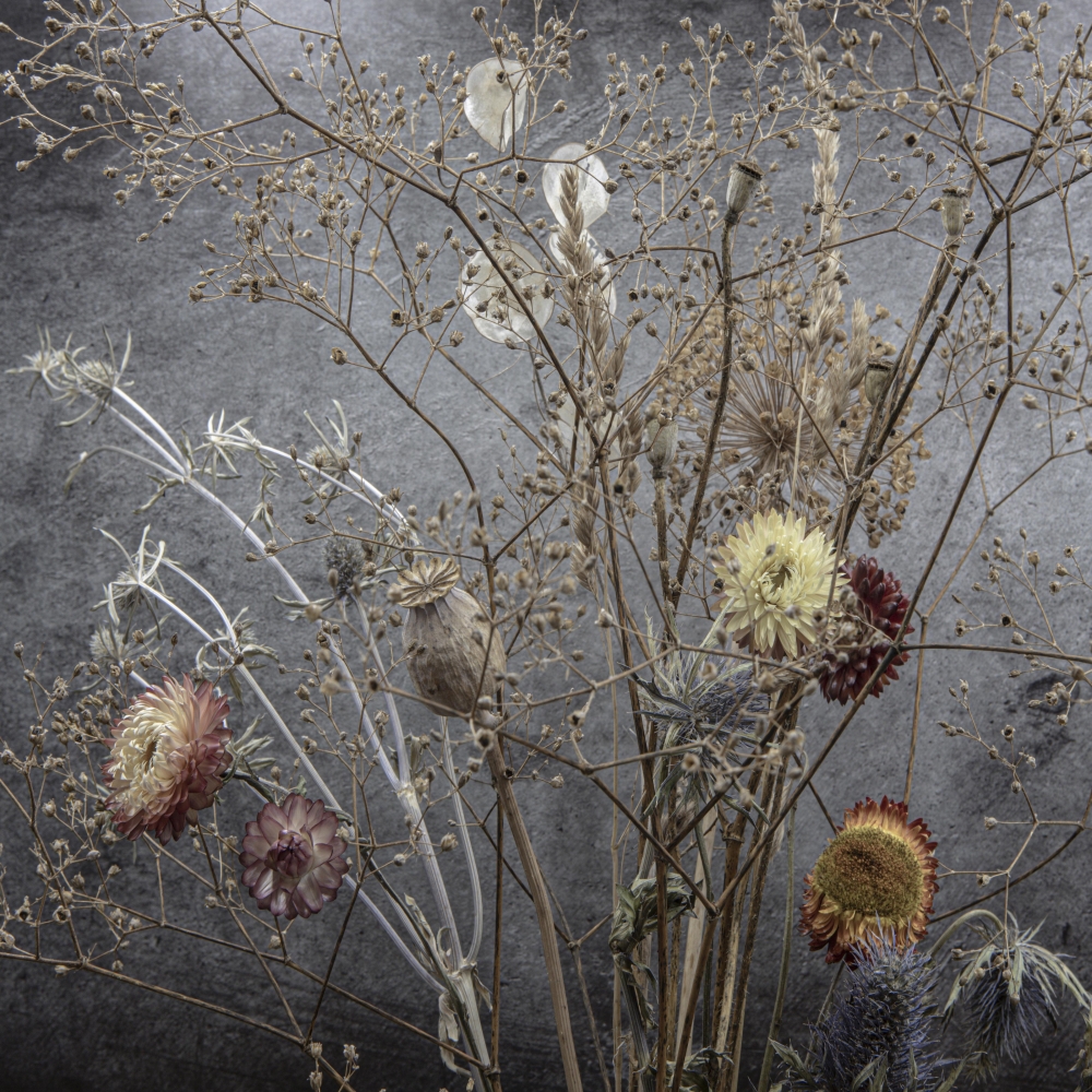 Momento Mori: Autumnal Stillness 3 