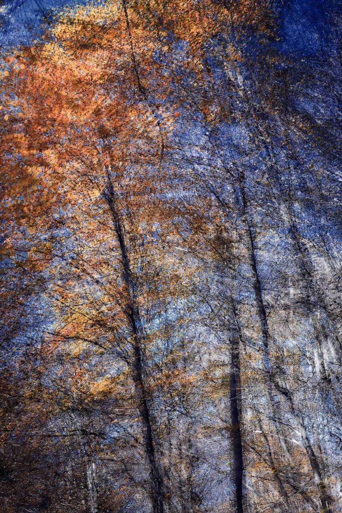 Phantom Structures: Energy of Light and Color #3