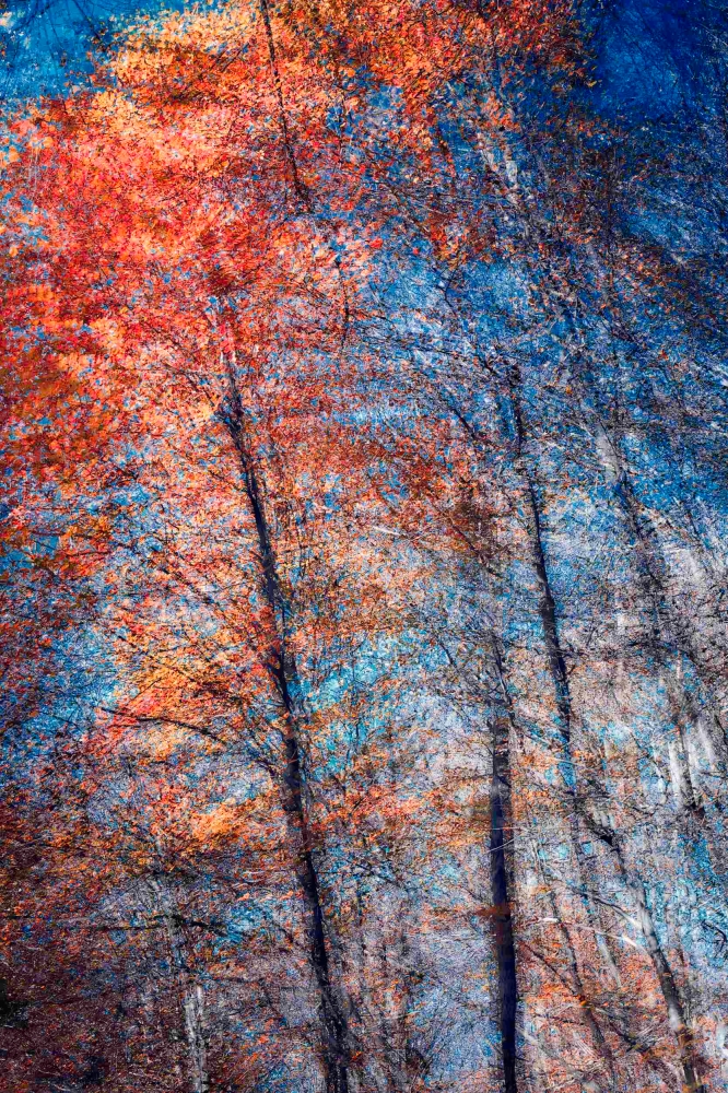 Phantom Structures: Energy of Light and Color #3