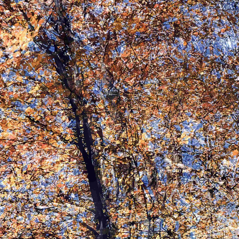 Phantom Structures: Energy of Light and Color #3