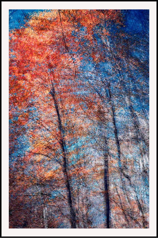 Phantom Structures: Energy of Light and Color #3