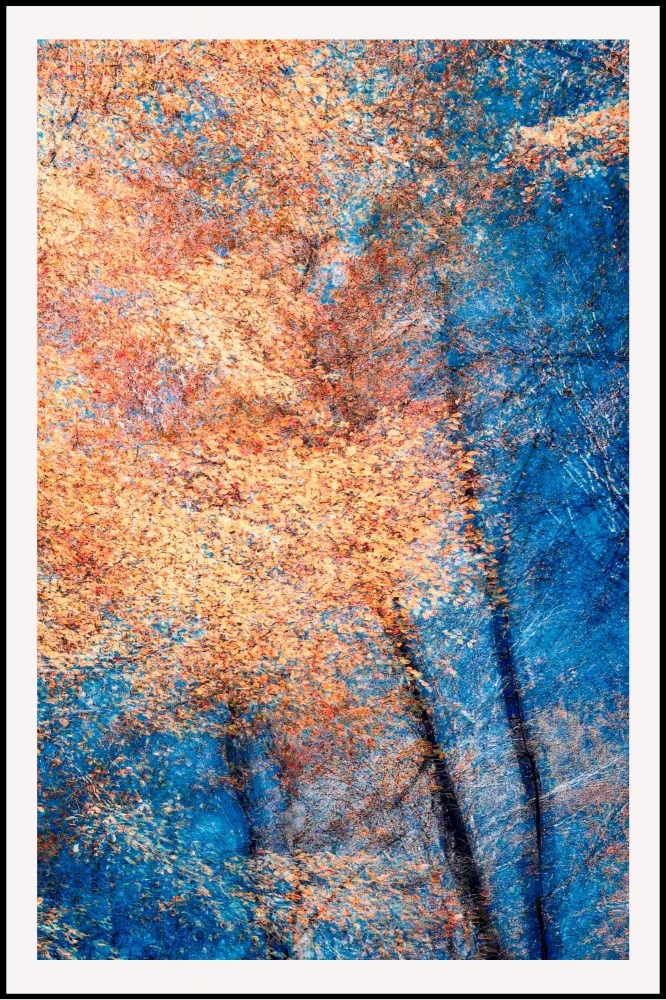 Phantom Structures: Energy of Light and Color #4