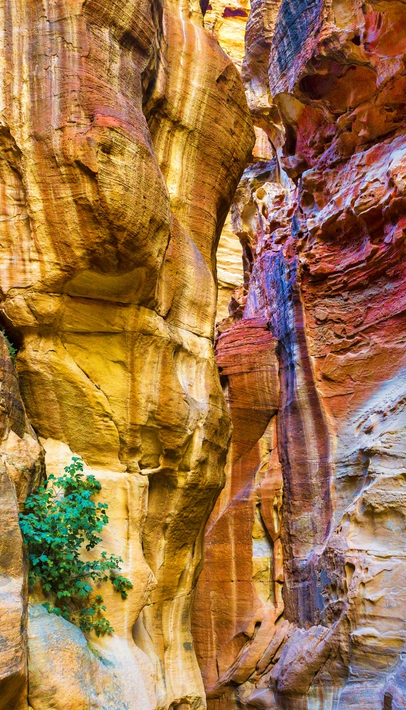 Petra Gorge