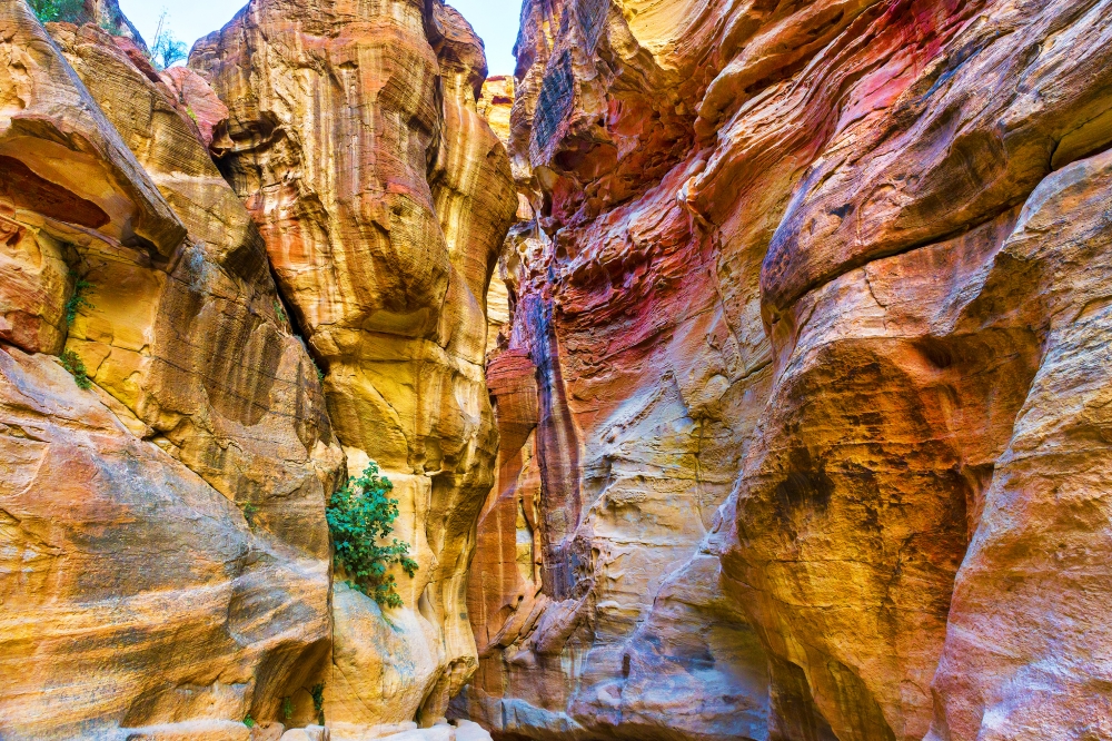 Petra Gorge