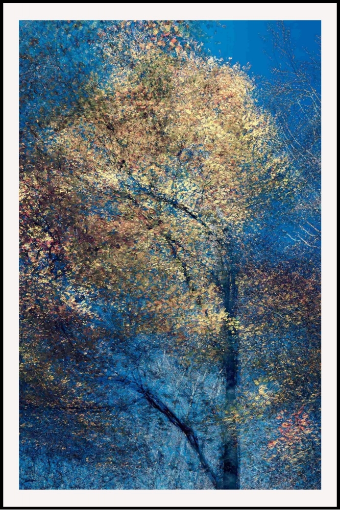 Phantom Structures: Energy of Light and Color #1