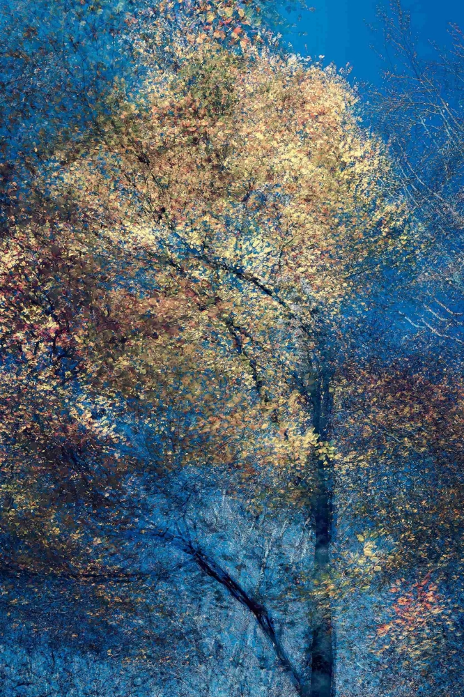 Phantom Structures: Energy of Light and Color #1