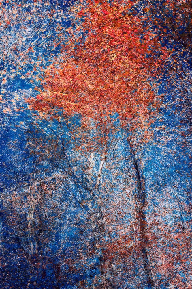 Phantom Structures: Energy of Light and Color #2