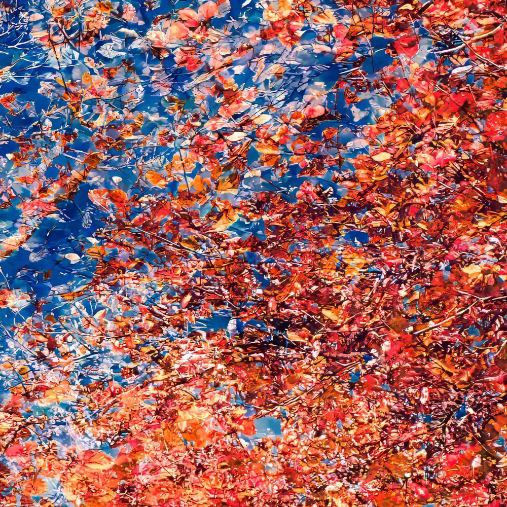 Phantom Structures: Energy of Light and Color #2
