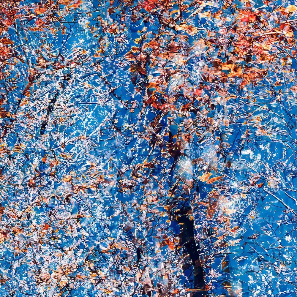 Phantom Structures: Energy of Light and Color #2