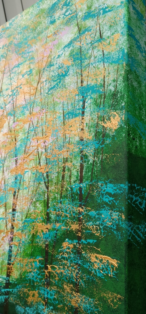 Secret Forest, Shadows and Light