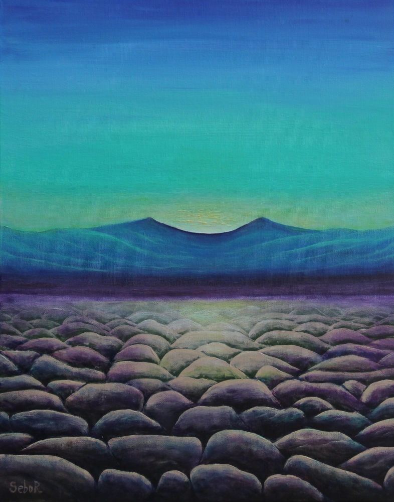 Stony Desert 