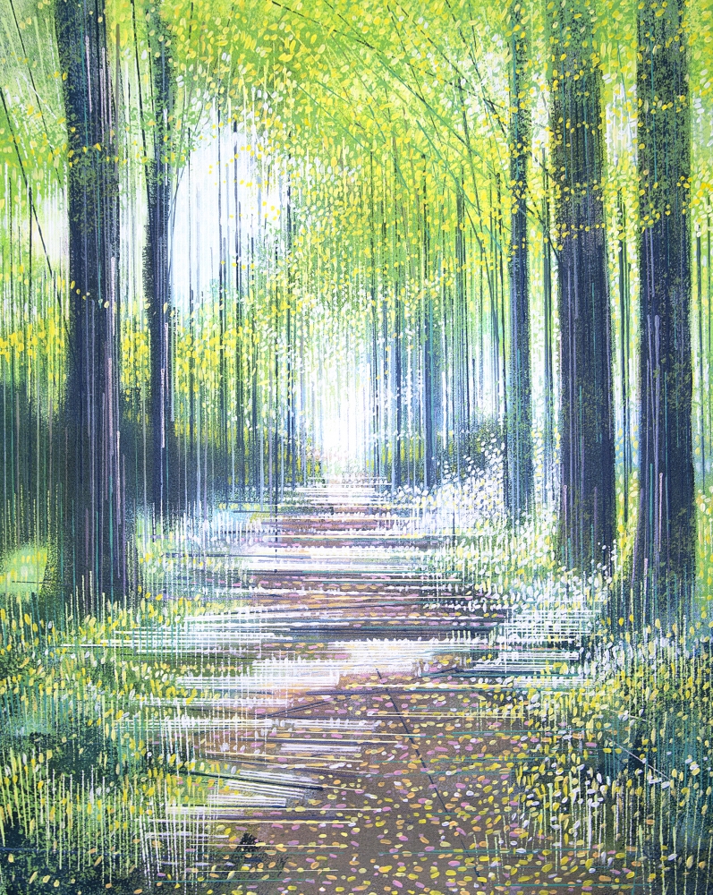 Forest Path In Bright Sunlight