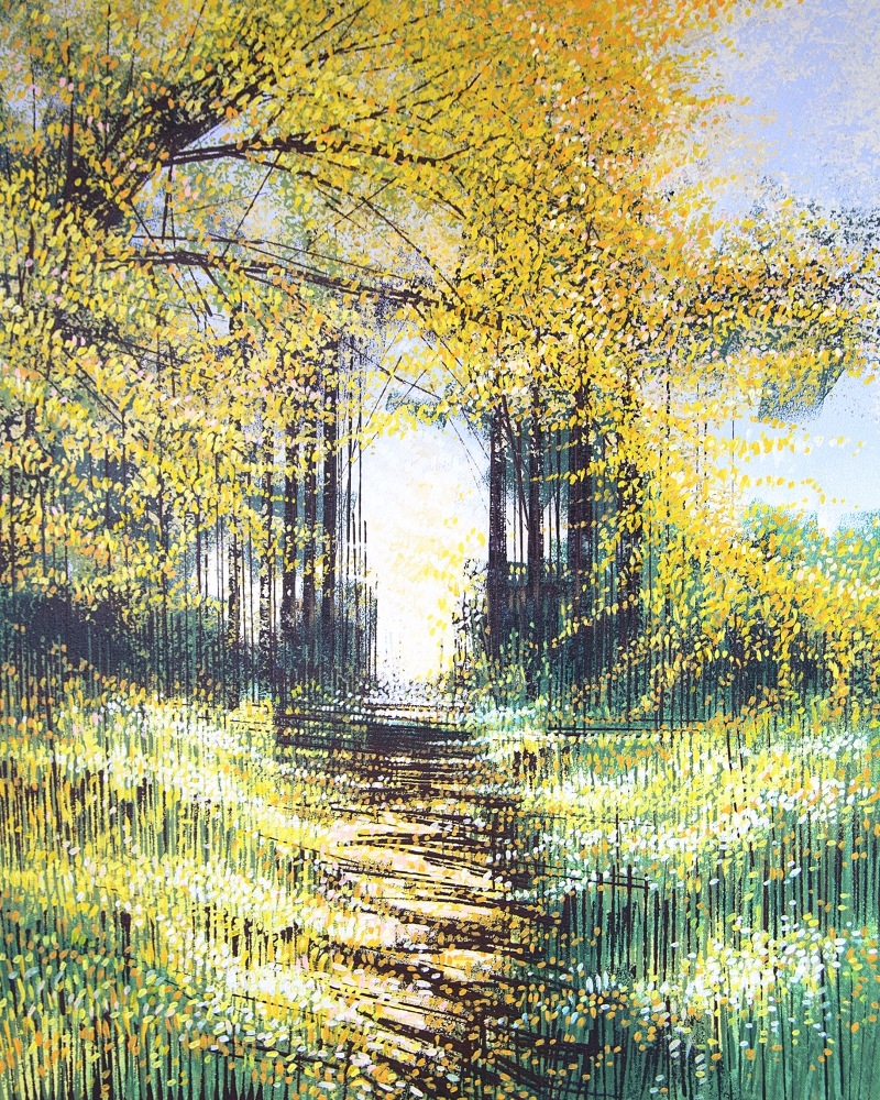 Sunlight Through Autumn Trees