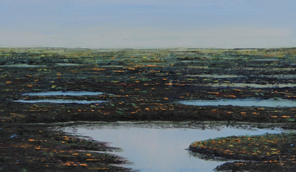 Swampy Land