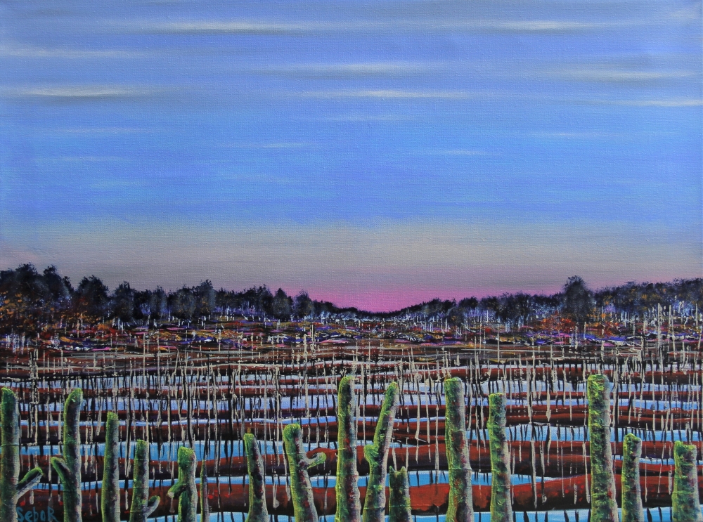 Swampy Place - II 