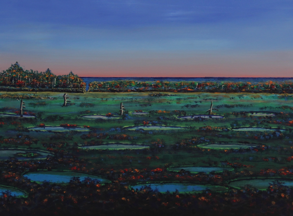 Swampy Place