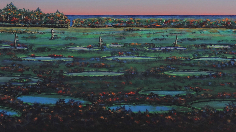 Swampy Place