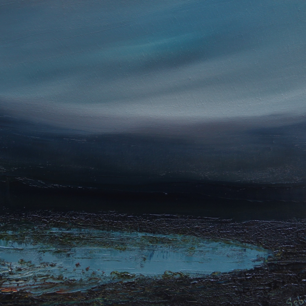 Swampy Pond 