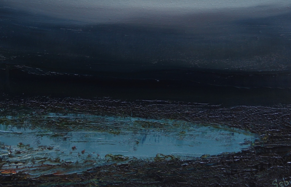 Swampy Pond 