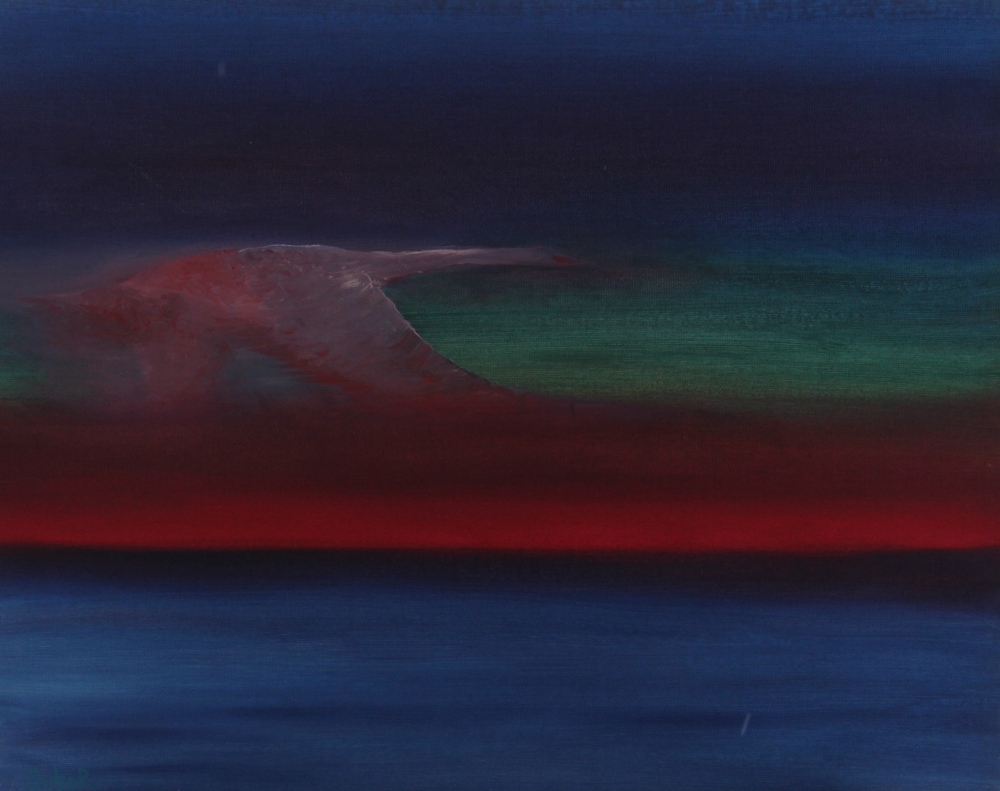 Swan Flight 