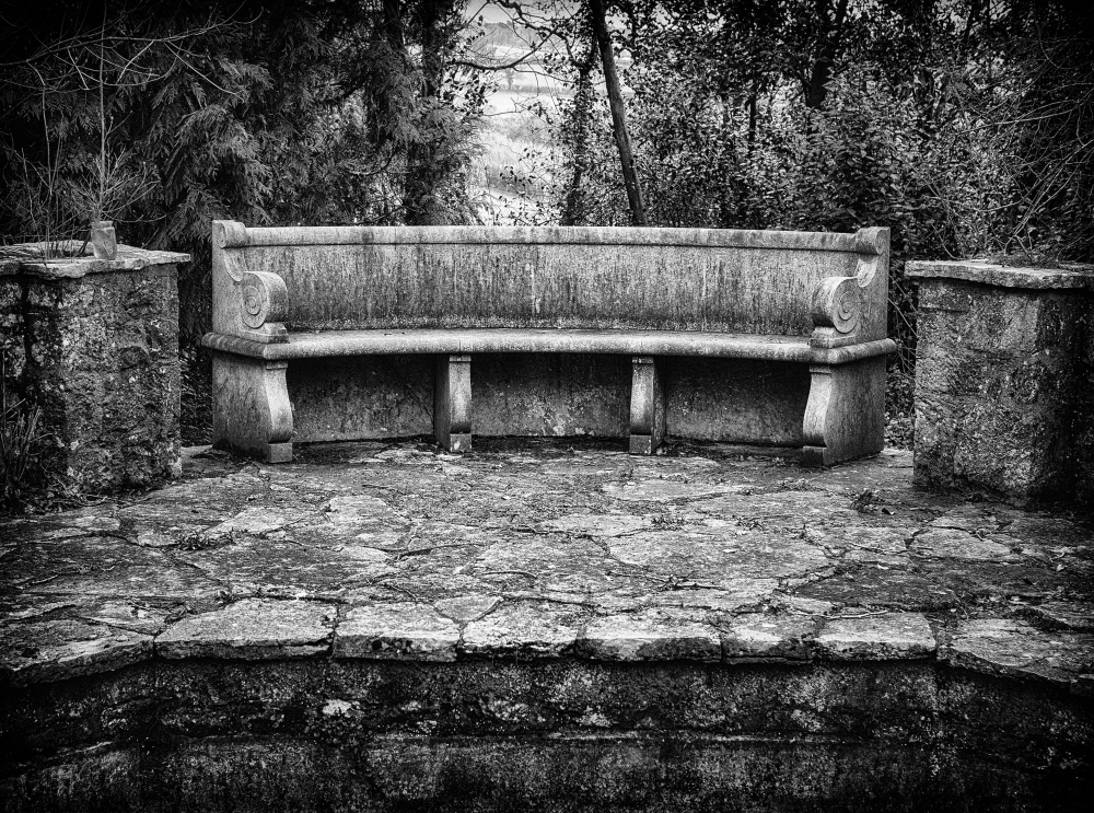 Echoes of the Past: The Great Ambrook Collection - The Bench