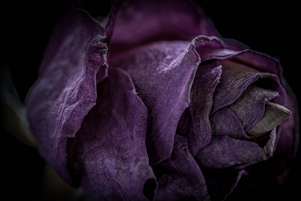 Momento Mori: Shared Seasons 3