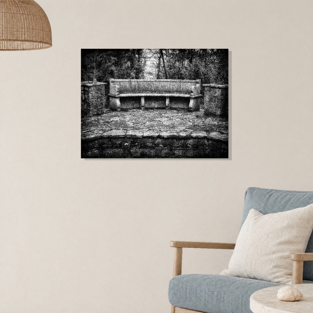 Echoes of the Past: The Great Ambrook Collection - The Bench