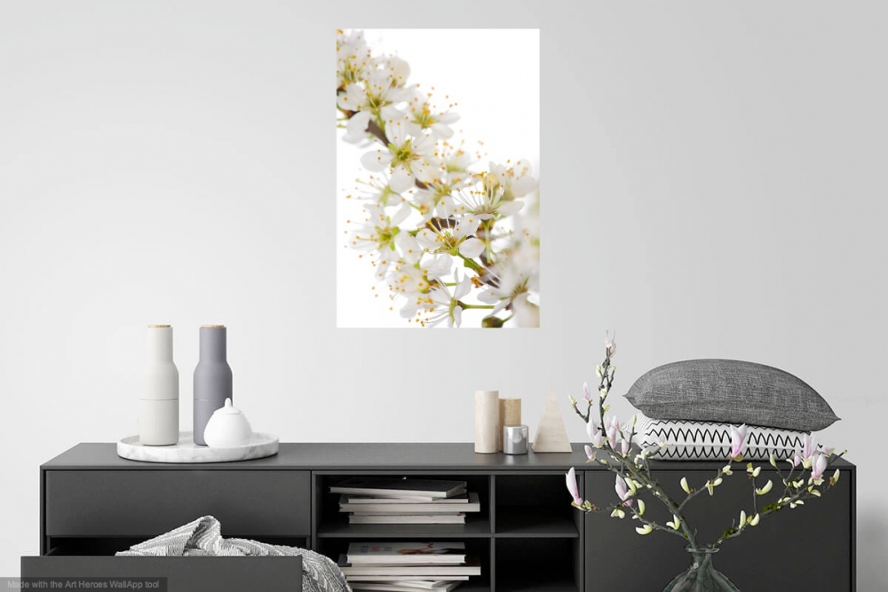 Innocent Beauty: Devon Hedgerows - Blackthorn Blossom