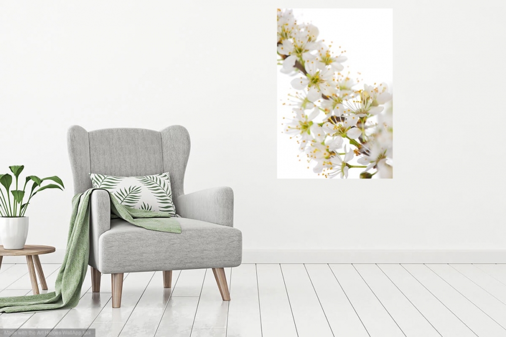 Innocent Beauty: Devon Hedgerows - Blackthorn Blossom