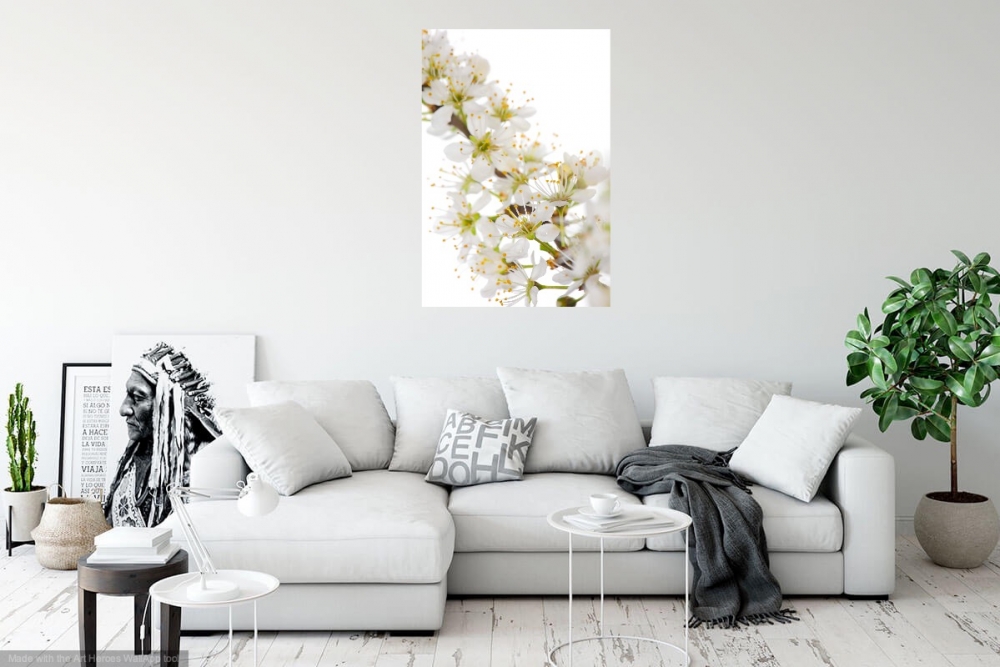 Innocent Beauty: Devon Hedgerows - Blackthorn Blossom