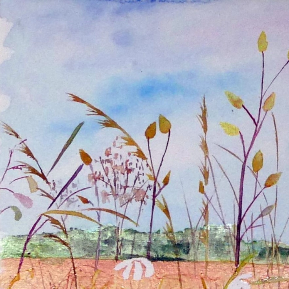 Along The Field Margin