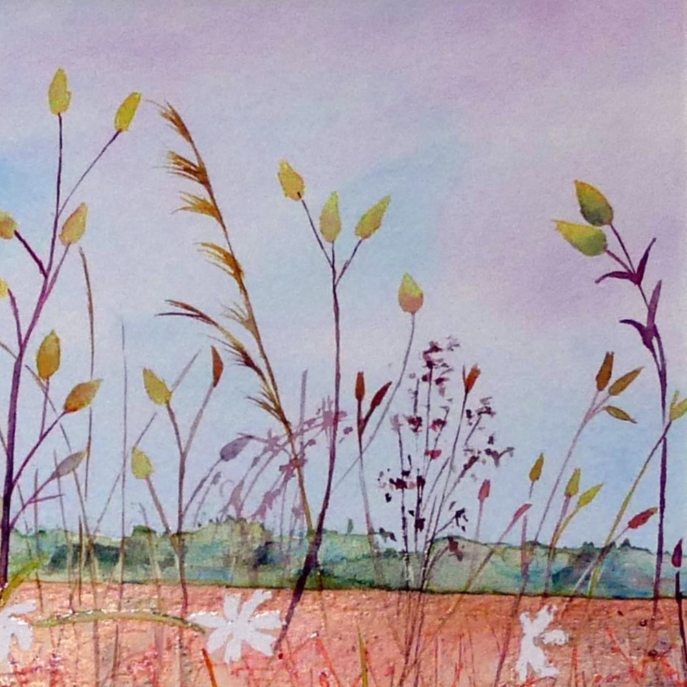 Along The Field Margin