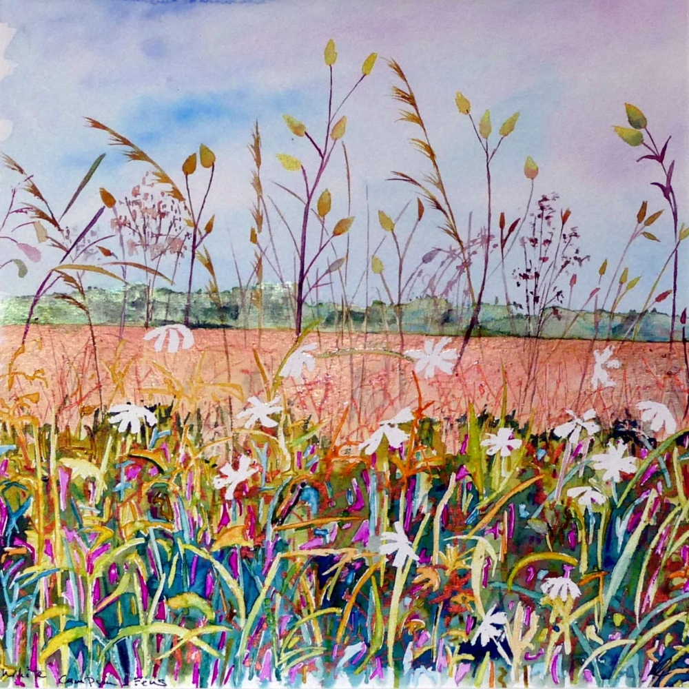 Along The Field Margin
