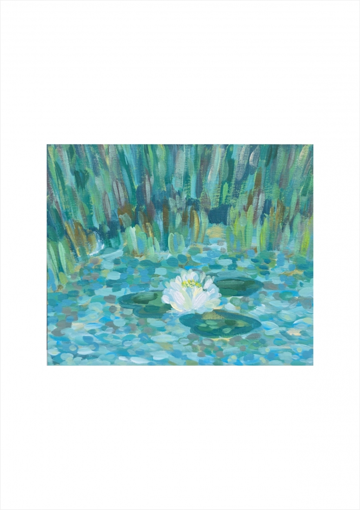 White Water Lily