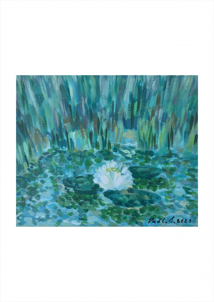 White Water Lily
