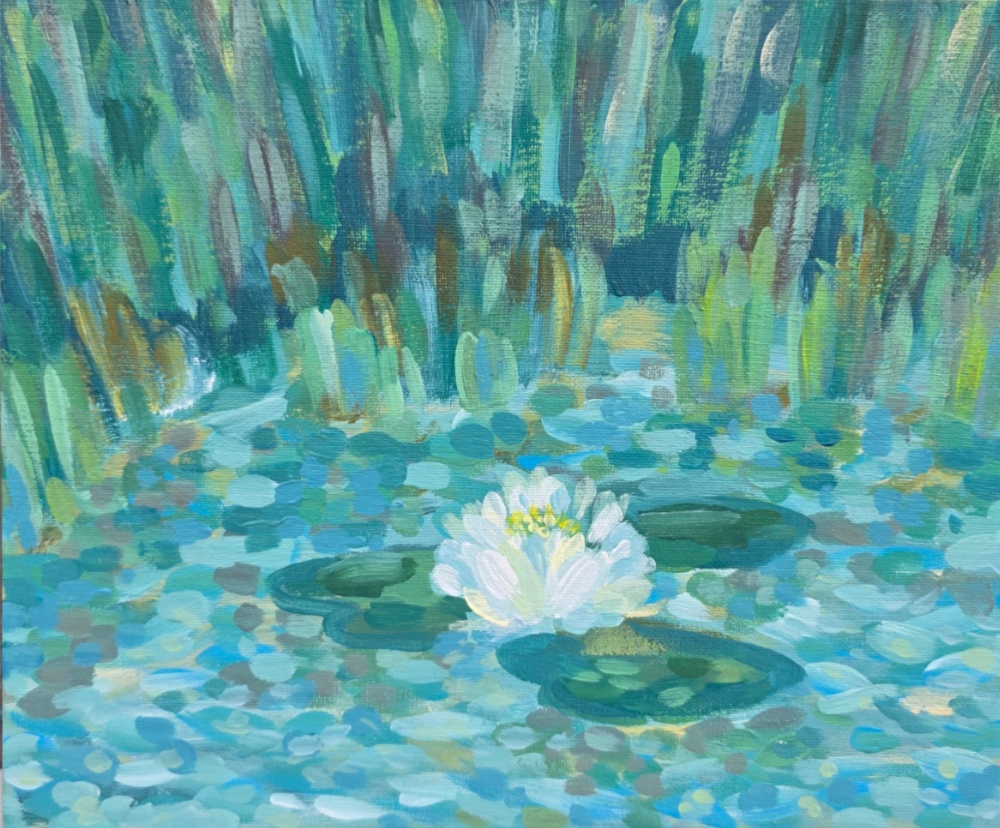 White Water Lily