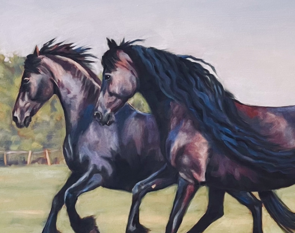 Evening Gallop