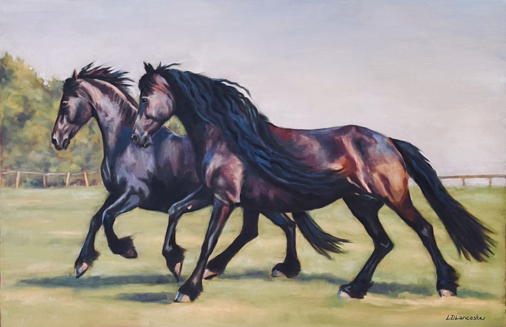Evening Gallop